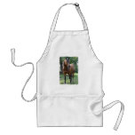 Bay Thoroughbred Horse Apron