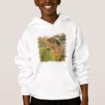 Buckskin Pony Kid's Hooded Sweatshirt
