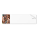 Chestnut Equine  Bumper Sticker