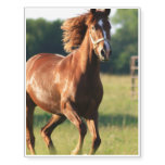 Chestnut Galloping Horse Temporary Tattoos