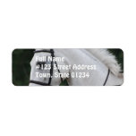 Collected White Horse Mailing Label