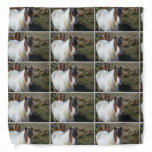 Connemara Pony Bandana