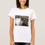 Connemara Pony T-Shirt