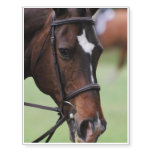 Cute Arabian Horse Temporary Tattoos