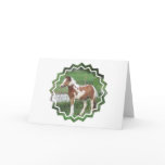 Cute Paint Pony Greeting Card