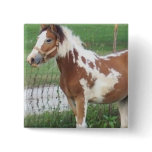 Cute Paint Pony Pin