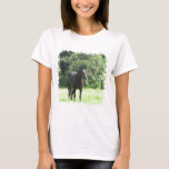 Dark Bay Horse Ladies T-Shirt