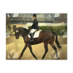 Dressage Competition Postcard