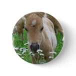 Foal Smelling Daisies Round Button