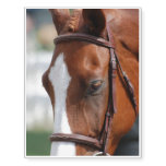 Gorgeous Chestnut Show Horse Temporary Tattoos