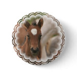 Horse Baby Round Button