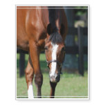 Horse in a Field Temporary Tattoos