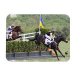 Horses Eventing  Premium Magnet