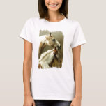 Ladies Basic T-Shirt Template - Customized