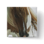Mustang Wild Horse Square Pin