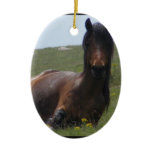 Pony Resting Ornaments