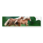 Racing Palomino Horses Bumper Sticker
