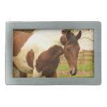 Roaming Paint Horse Buckle Belt Buckle