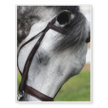 Sweet Appaloosa Horse Temporary Tattoos