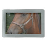 Sweet Chestnut Horse Buckle Belt Buckle