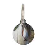 Sweet Connemera Pony Pet ID Tag