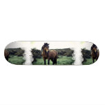 Wild Mustang Skateboard Deck